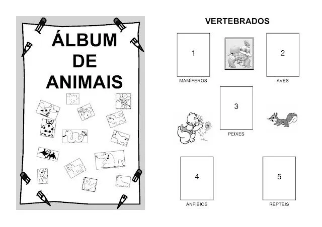 Crianças,mil e um segredos na hora de aprender: ÁLBUM SOBRE OS ANIMAIS Crianças,mil e um segredos na hora de aprender: ÁLBUM SOBRE OS ANIMAIS