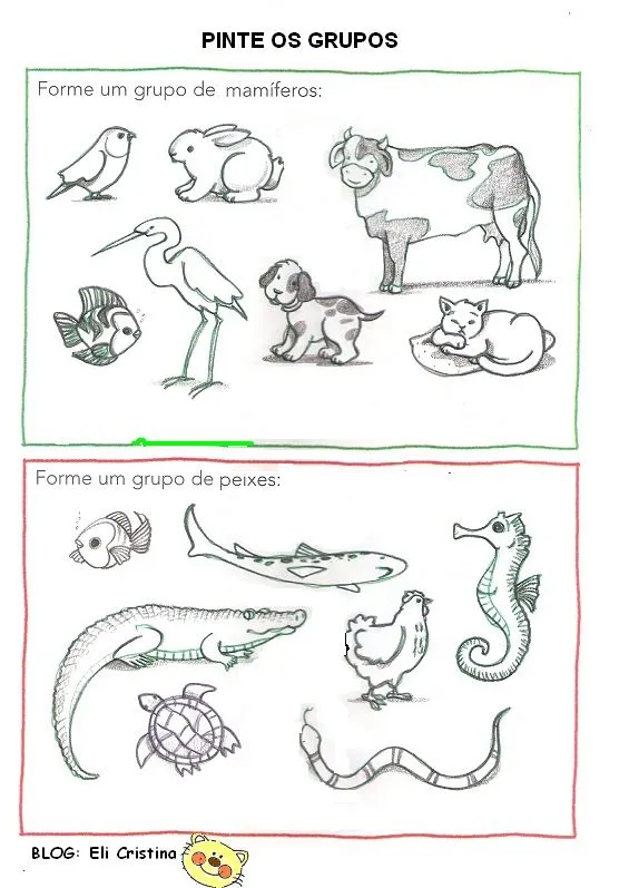 ANIMAIS MAMÍFEROS - 35 ATIVIDADES EXERCÍCIOS DESENHOS COLORIR ... ANIMAIS MAMÍFEROS - 35 ATIVIDADES EXERCÍCIOS DESENHOS COLORIR ...