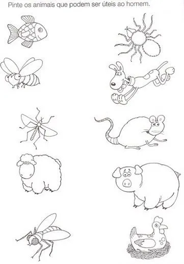 ANIMAIS ÚTEIS E ANIMAIS NOCIVOS - ATIVIDADES E DESENHOS COLORIR ... ANIMAIS ÚTEIS E ANIMAIS NOCIVOS - ATIVIDADES E DESENHOS COLORIR ...