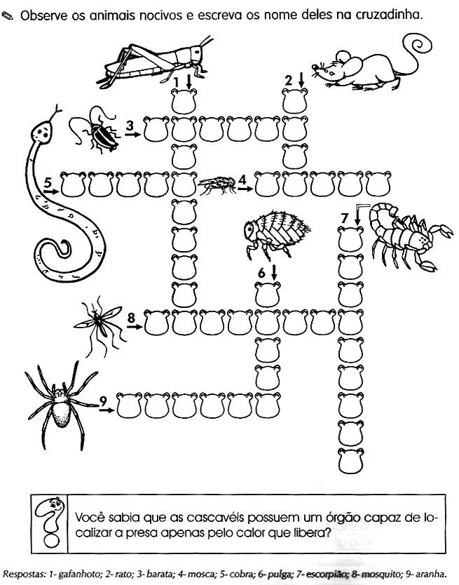ANIMAIS ÚTEIS E NOCIVOS ATIVIDADES EXERCÍCIOS DESENHOS COLORIR ... ANIMAIS ÚTEIS E NOCIVOS ATIVIDADES EXERCÍCIOS DESENHOS COLORIR ...