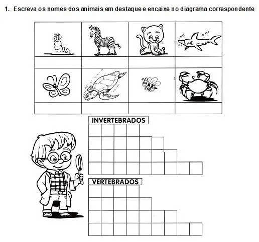 Animais vertebrados para colorir - Imagui