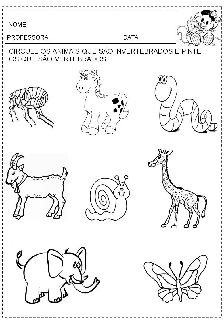 ANIMAIS VERTEBRADOS E INVERTEBRADOS - ATIVIDADES E DESENHOS ... ANIMAIS VERTEBRADOS E INVERTEBRADOS - ATIVIDADES E DESENHOS ...