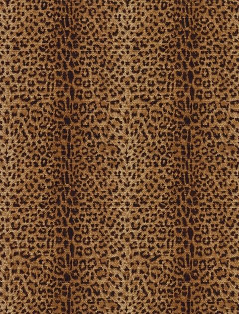 Animal & Safari Themed Wallpaper | Lions, Tigers and Bears O My! Animal & Safari Themed Wallpaper | Lions, Tigers and Bears O My!