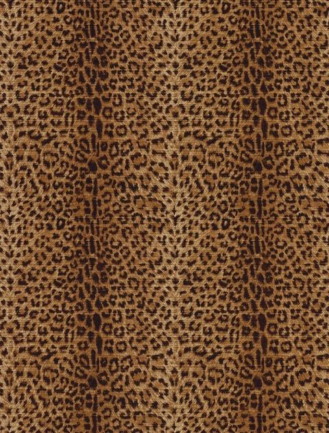 Animal & Safari Themed Wallpaper | Lions, Tigers and Bears O My!