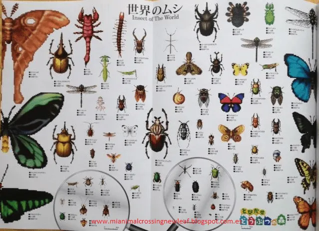 Imagenes de insectos y sus nombres en español - Imagui Imagenes de insectos y sus nombres en español - Imagui