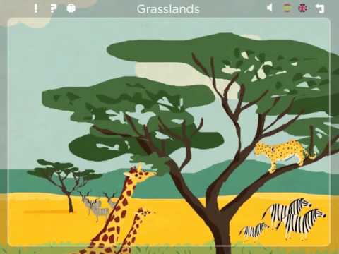 Animal Habitats. Explora la fauna salvaje y Aprende curiosidades ... Animal Habitats. Explora la fauna salvaje y Aprende curiosidades ...