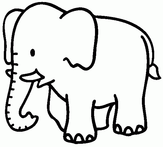 Animal mamíferos para dibujar - Imagui