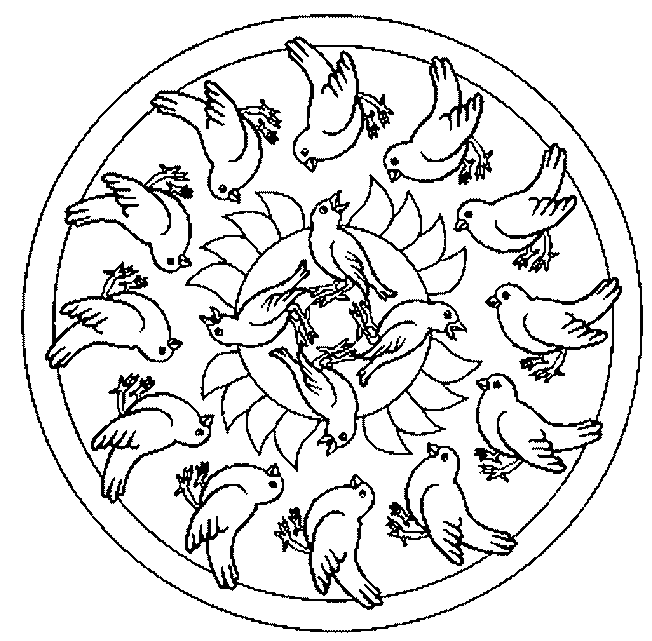 Animal Mandalas Symmetries