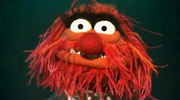 Just Released: Animal Drummer for iPhone | Cult of Mac Just Released: Animal Drummer for iPhone | Cult of Mac