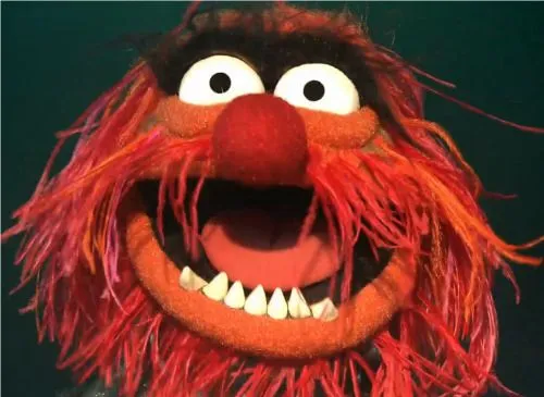 animal muppet | Tumblr