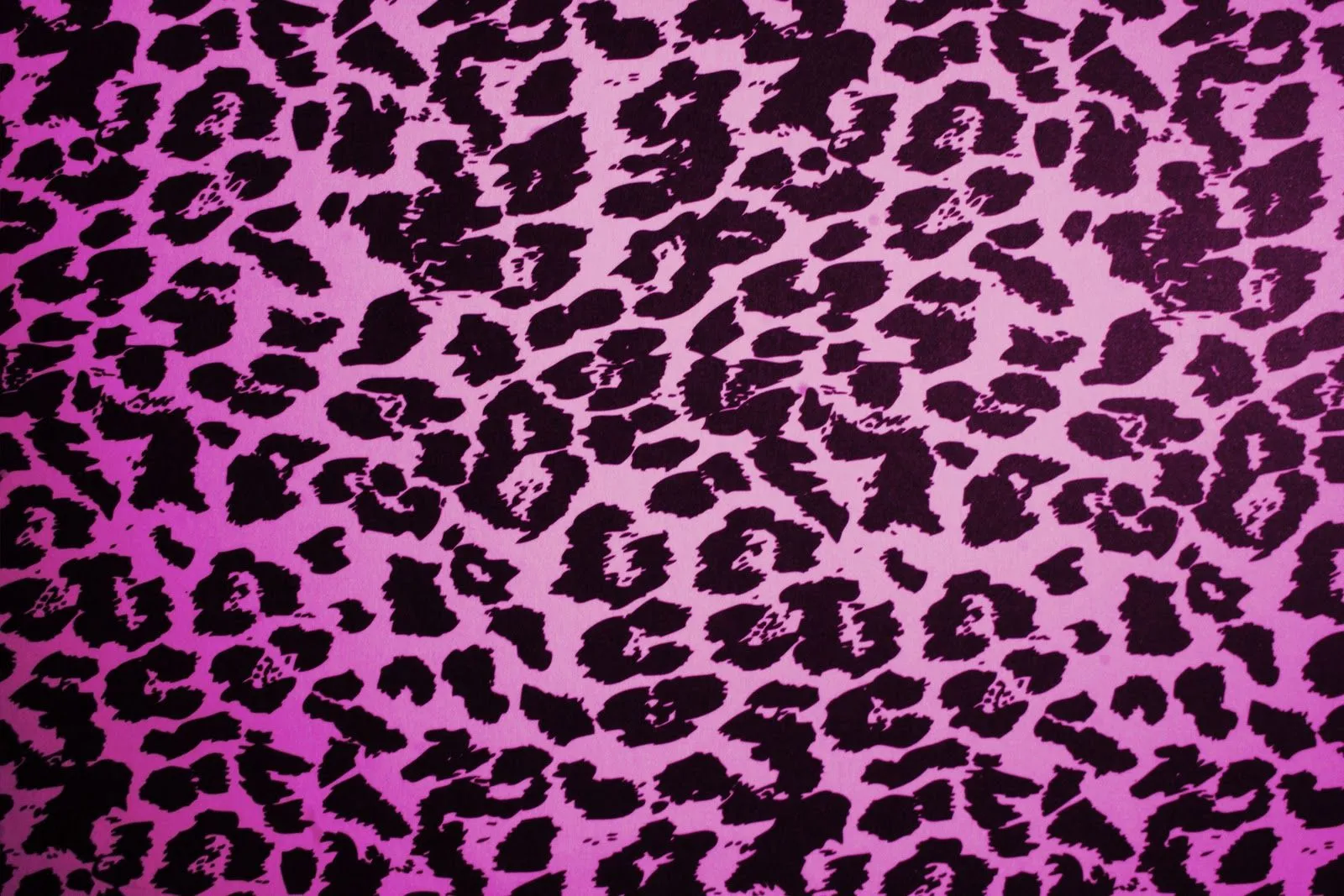 Animal Print.