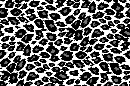 Animal Print LEOPARD Print-1 background, wallpaper < Free clipart ...