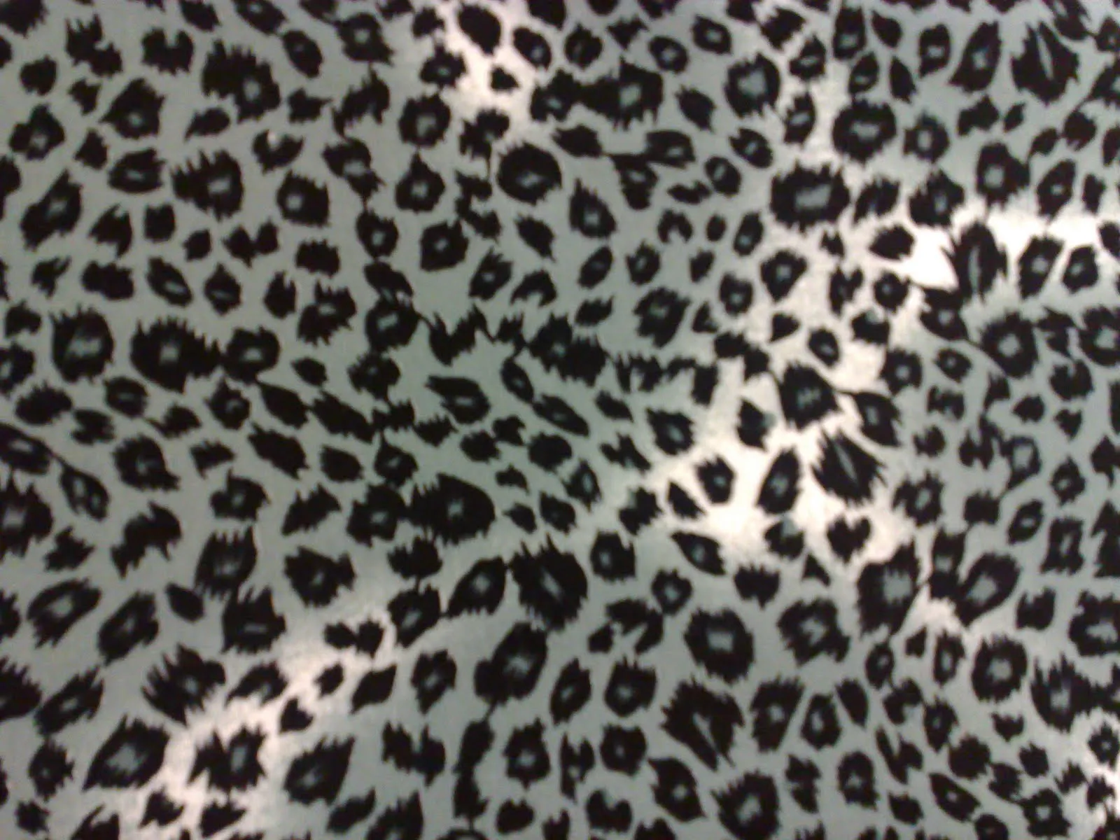 Animal Print Luces