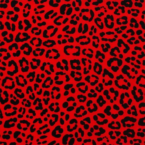 Animal print tigre wallpaper - Imagui