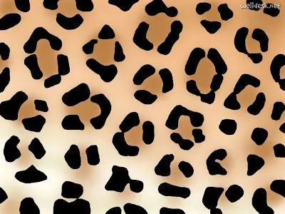 Animal Print Wallpapers - Download Free Wallpapers - Zimbio Animal Print Wallpapers - Download Free Wallpapers - Zimbio