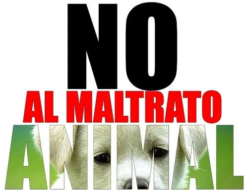 ANIMALADAS /CUIDADOS: Di NO al maltrato animal ANIMALADAS /CUIDADOS: Di NO al maltrato animal