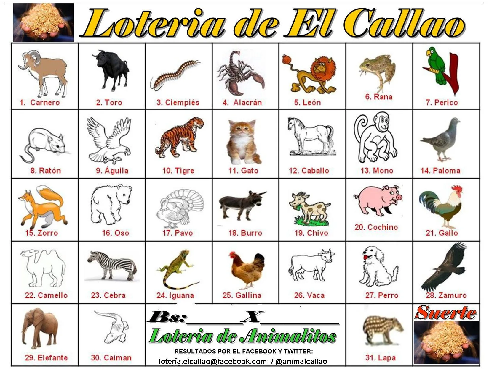 animalcallao on X: animalcallao on X: