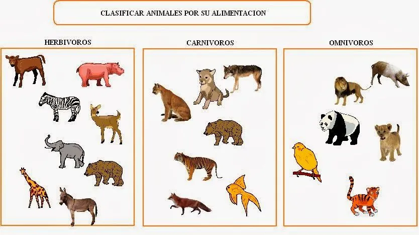 3+CLASIFICACION+ALIMENTACION.jpg