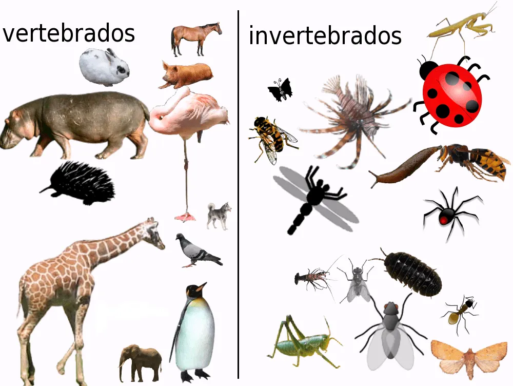 Los animales