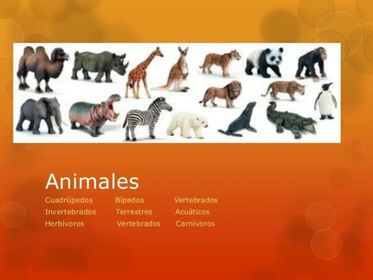 animales-2-728.jpg?cb=1313512951