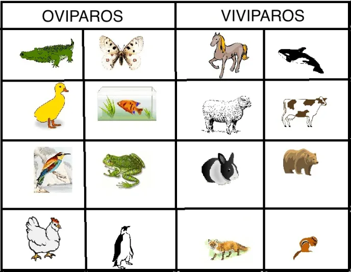 LOS ANIMALES