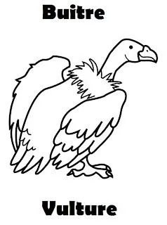 Dibujo de animales aereos para colorear - Imagui