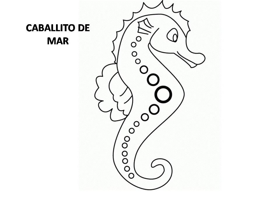 Animales acuaticos y terrestres para colorear - Imagui