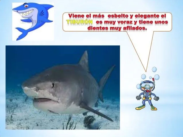 animales-acuticos-para-nios-6- ...