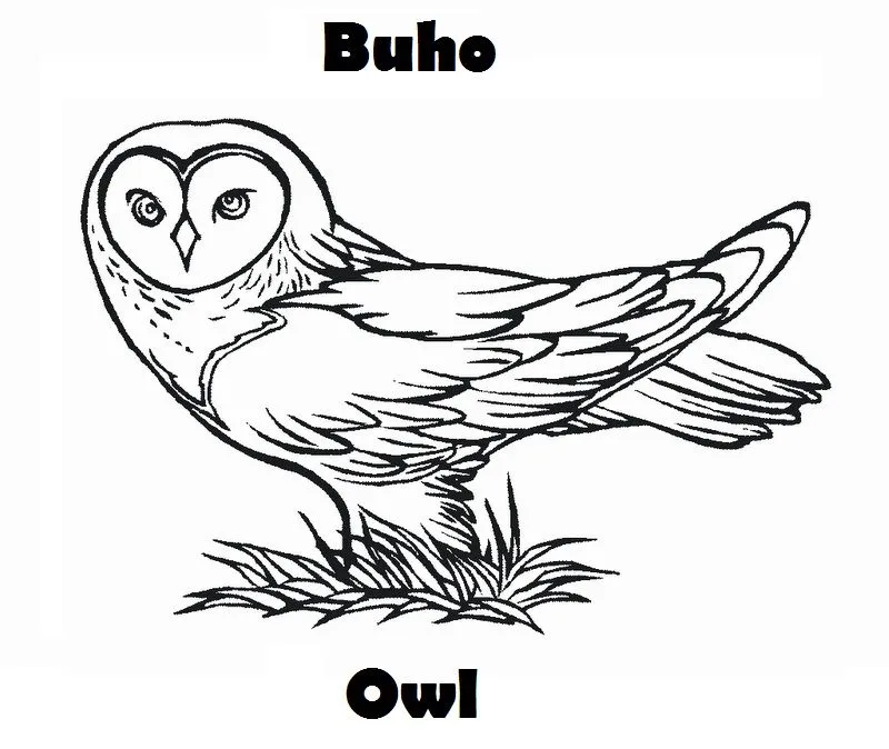 Dibujos animales aereos - Imagui