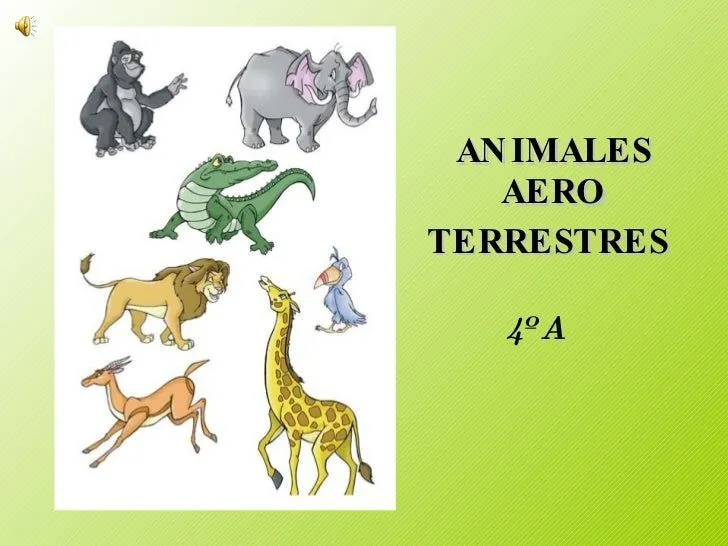 Animales Aero Terrestres 4º A - B