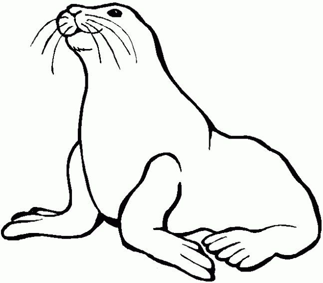 foca para colorear Colouring Pages