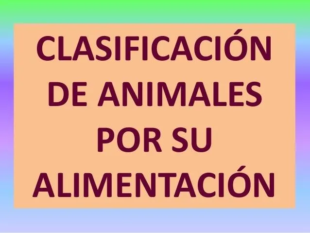 Animales x su alimentación 1º