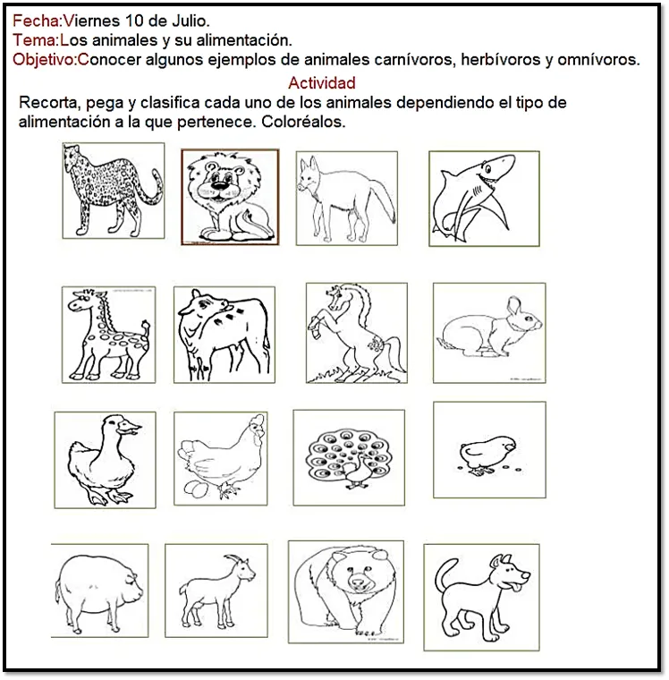 Los animales y su alimentación. | Enseñanza de las letras, Actividades, Omnivoros Los animales y su alimentación. | Enseñanza de las letras, Actividades, Omnivoros