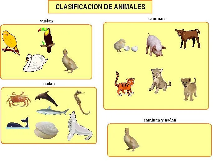 Animales segun su alimentacion - Imagui