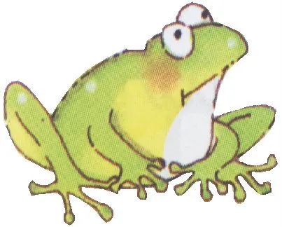 Animales anfibios animados - Imagui