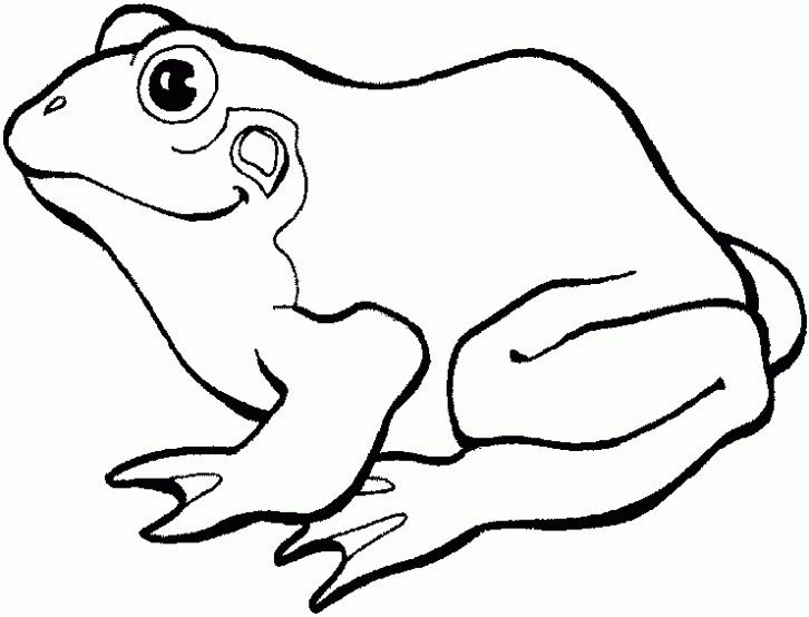 Como dibujar un sapo - Imagui