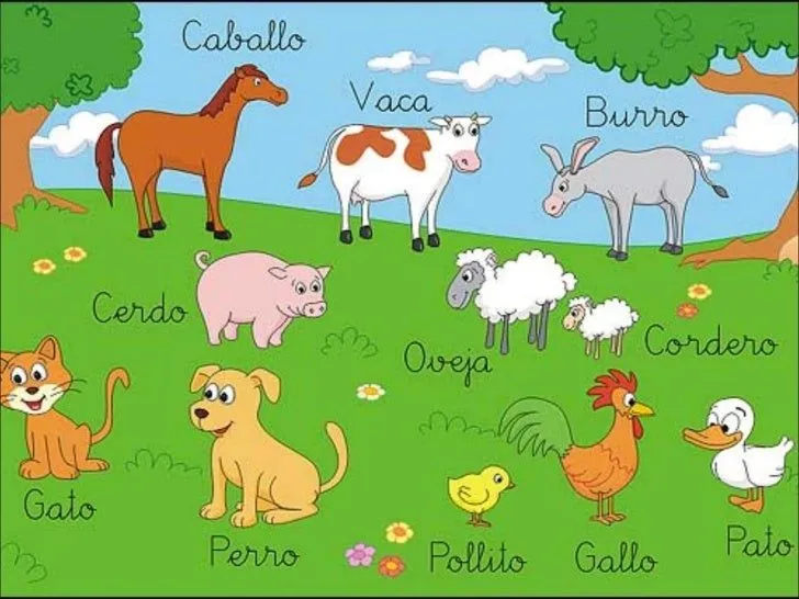 Animales bipedos y cuadrupedos