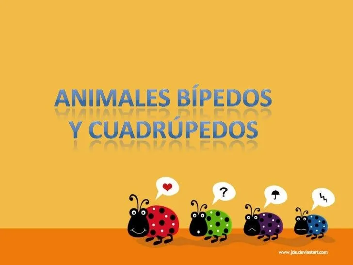 Animales bipedos y cuadrupedos