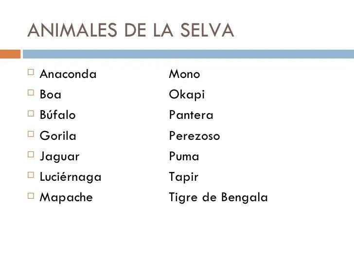 animales-bosque-selva-y-montaa ...