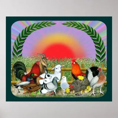 Animales del campo poster de Zazzle.