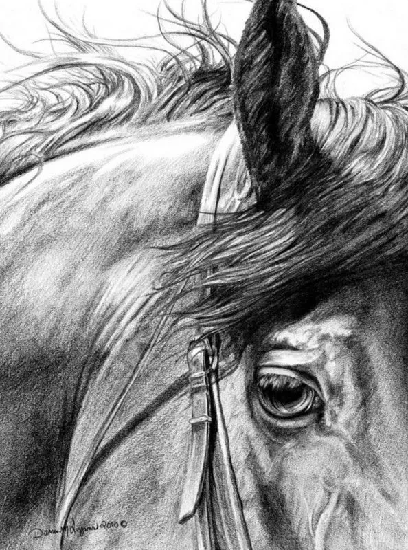 Dibujos con lapiz carboncillo - Imagui