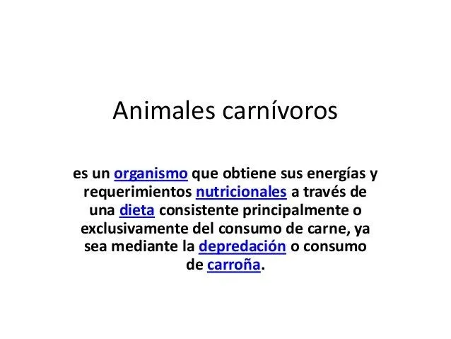 Animales carnívoros