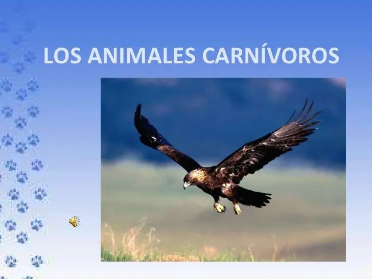 Los animales carnívoros. Búsqueda de información. Los animales carnívoros. Búsqueda de información.