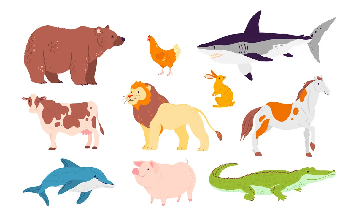 Los animales carnívoros, herbívoros y omnívoros explicados para los niños - Etapa Infantil Los animales carnívoros, herbívoros y omnívoros explicados para los niños - Etapa Infantil