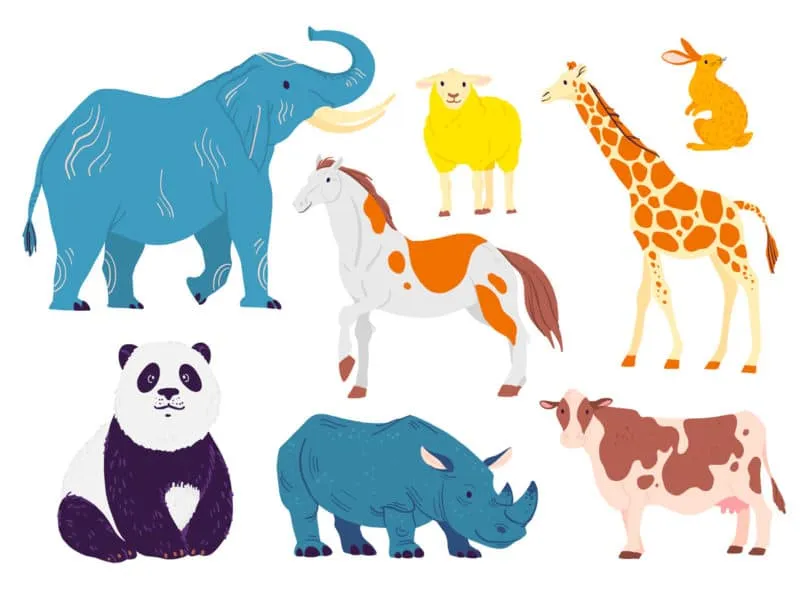 Los animales carnívoros, herbívoros y omnívoros explicados para los niños - Etapa Infantil Los animales carnívoros, herbívoros y omnívoros explicados para los niños - Etapa Infantil