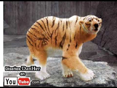 Animales Clonados por DanHer ( Animales muy raros, falsos o ... Animales Clonados por DanHer ( Animales muy raros, falsos o ...