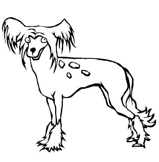 Animales para colorear