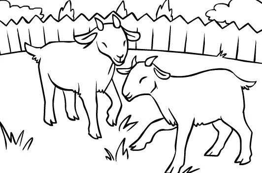 Animales para colorear: + cabras