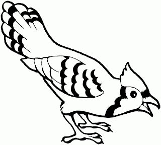 Animales para colorear: Cuervo Azul