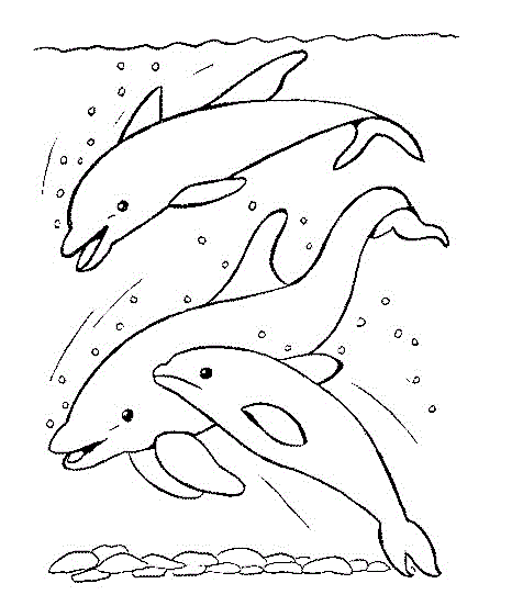 Animales para colorear: Delfines en familia Animales para colorear: Delfines en familia